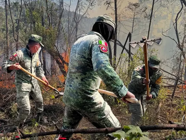 Militares de México destruye 117 plantíos de amapola y 58 plantíos de marihuana en cinco estados