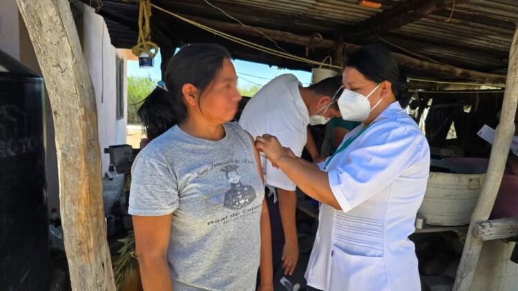 Realizarán Primera Semana Nacional de Vacunación 2025 del 26 de abril al 3 de mayo en Tamaulipas