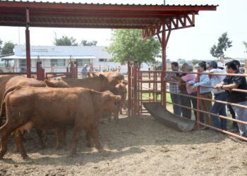 Reactivarán el Centro de Mejoramiento Genético la SADER y la UGRT