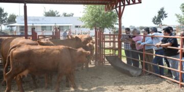 Reactivarán el Centro de Mejoramiento Genético la SADER y la UGRT