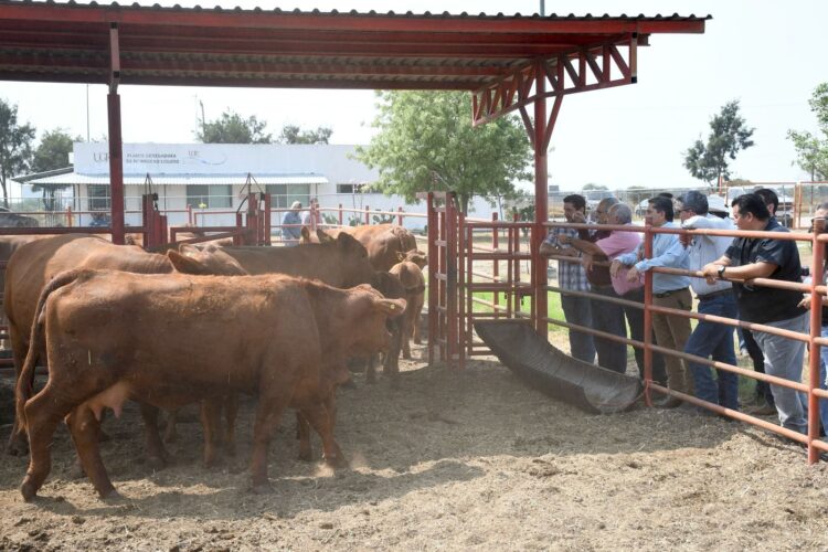 Reactivarán el Centro de Mejoramiento Genético la SADER y la UGRT