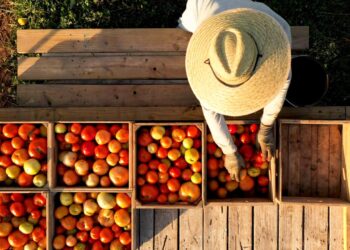Necesario un Frente Común en México ante imposición de aranceles agrícolas por EU