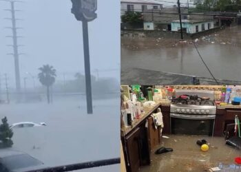 Destina gobierno de Sheinabum 98.5 mdp para damnificados por lluvias en Tamaulipas