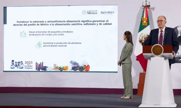 Presentan plan para autosuficiencia alimentaria en México en maíz, frijol, arroz y leche