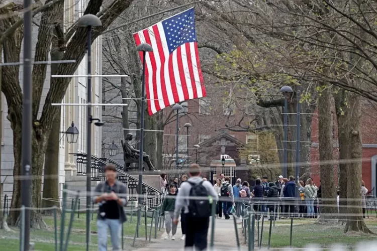 Cómo Harvard llegó a ser la universidad más rica del mundo
