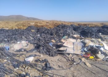 Incendio de pastizales en Tula fue provocado revela Procurador Ambiental y presenta denuncia