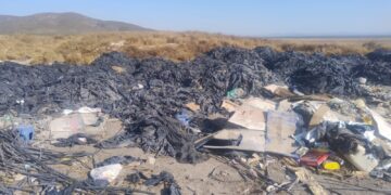 Incendio de pastizales en Tula fue provocado revela Procurador Ambiental y presenta denuncia