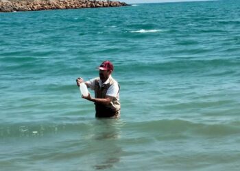 Playas de Tamaulipas aptas para disfrutarse por los turistas de Semana Santa: Salud