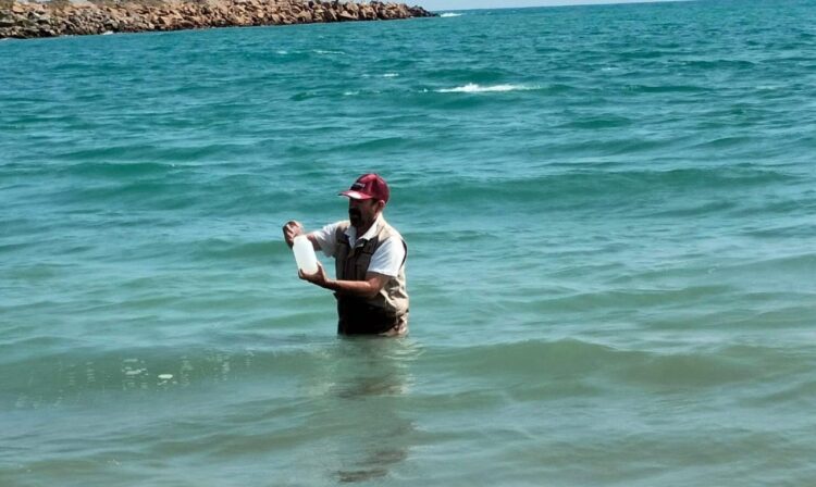 Playas de Tamaulipas aptas para disfrutarse por los turistas de Semana Santa: Salud