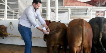 Destina Estado 19 mdp para mejoramiento genético