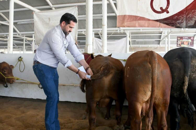 Destina Estado 19 mdp para mejoramiento genético