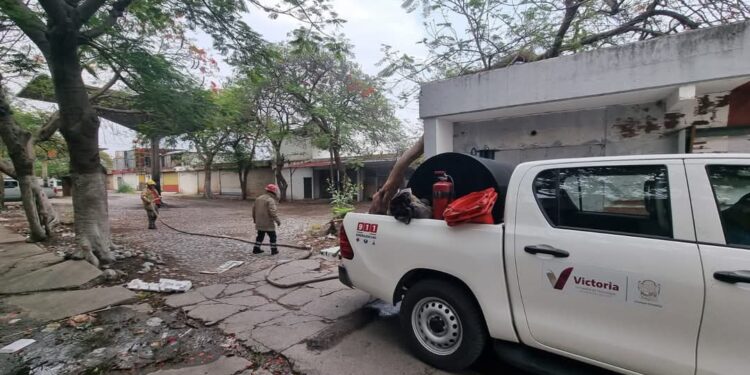 Se incendia Mercado de Abastos