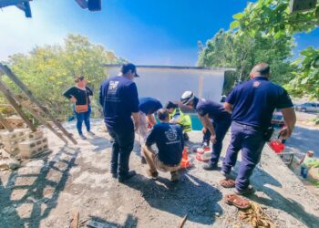 Albañil cae de cuatro metros de altura y vive para contarlo