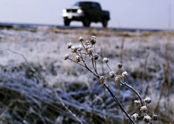 Alerta por heladas con temperaturas de hasta -10 grados