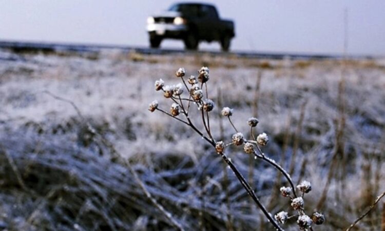 Alerta por heladas con temperaturas de hasta -10 grados