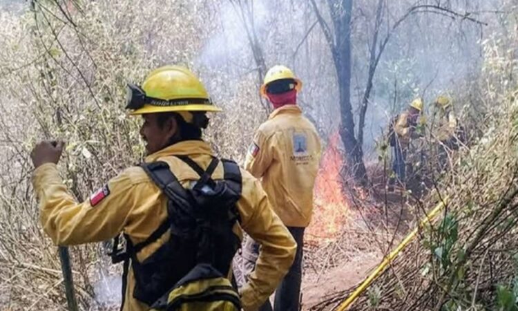 Tragedia en la lucha contra el fuego: Mueren tres brigadistas en México