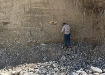 Confirman que huesos hallados en Tula, Tamaulipas, fueron de megafauna de hace 10,000 años