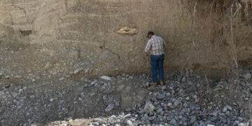 Confirman que huesos hallados en Tula, Tamaulipas, fueron de megafauna de hace 10,000 años