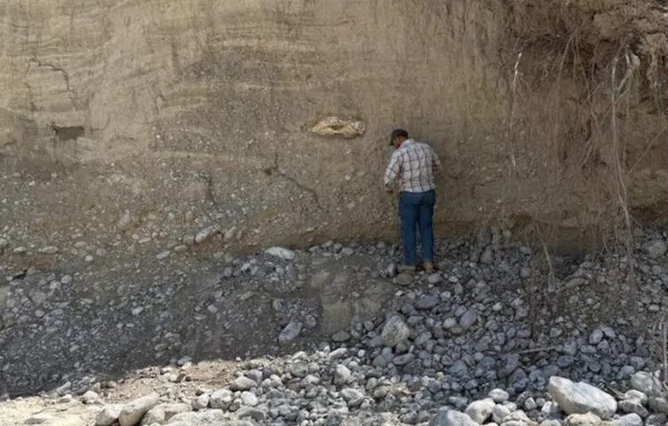 Confirman que huesos hallados en Tula, Tamaulipas, fueron de megafauna de hace 10,000 años