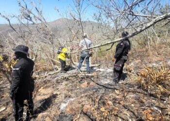 Avanza control de incendio forestal en Tula