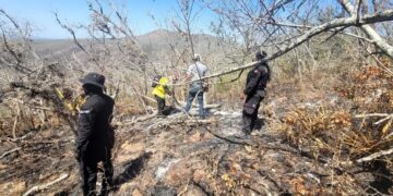 Avanza control de incendio forestal en Tula
