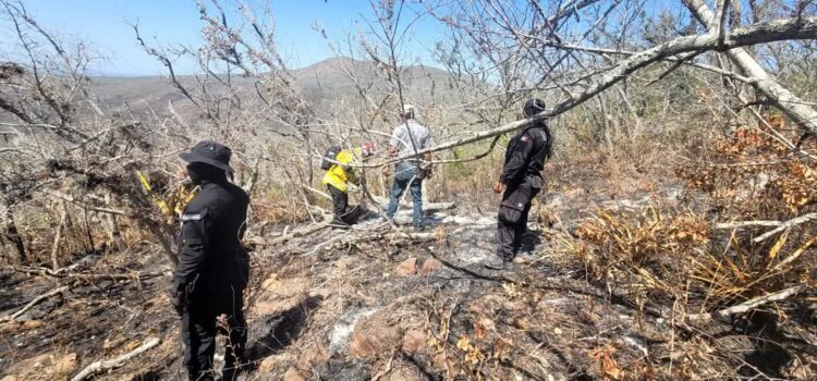 Avanza control de incendio forestal en Tula