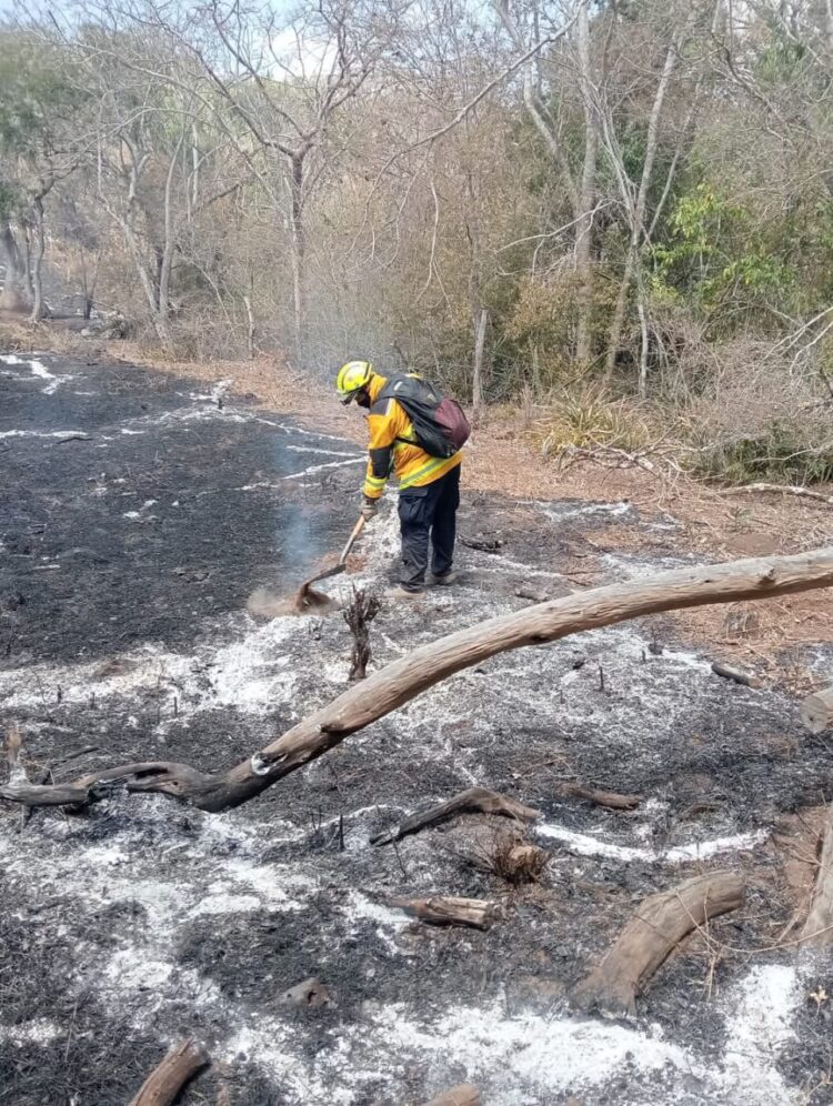 Alerta PC por incendios forestales