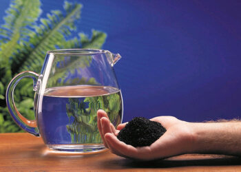 Beneficios del Carbón Activado en Filtros de Agua: ¿Por Qué Es Esencial?