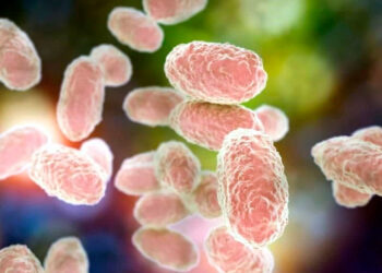 Salud emite alerta por aumento de tosferina