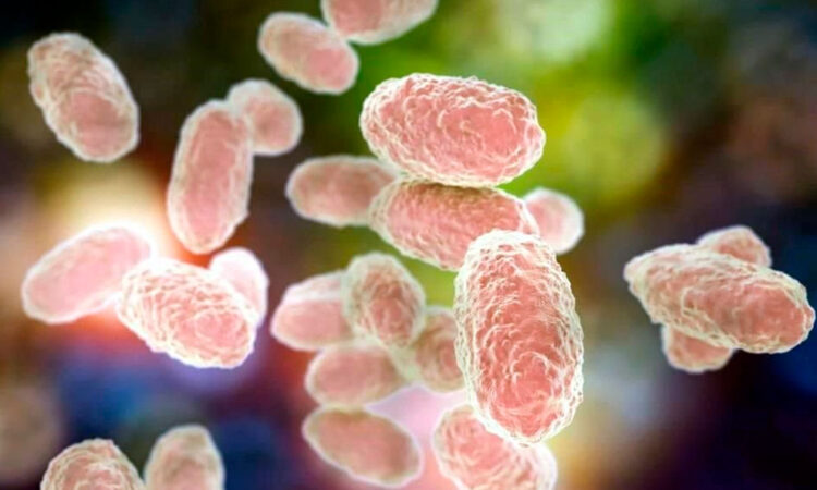 Salud emite alerta por aumento de tosferina