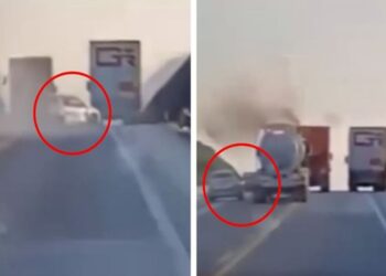 Trailero frustra asalto en carretera mexicana