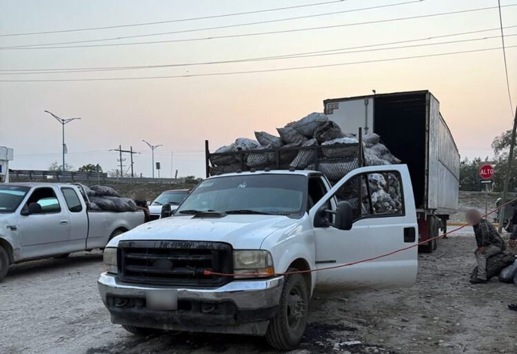 FGR asegura 14 toneladas de carbón durante cateo en bodega de Soto la Marina, Tamaulipas