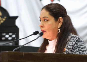 Plantea Diputada reforma a Ley Orgánica de la Administración Pública en materia de discriminación y acoso