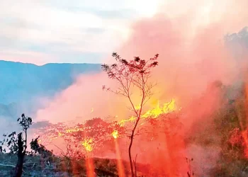 Cobran fuerza los incendios forestales; hay activos 112 en 22 entidades de México