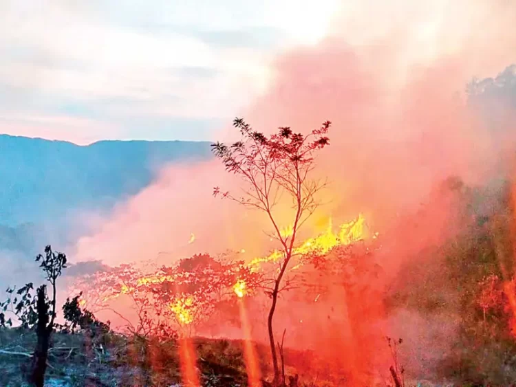 Cobran fuerza los incendios forestales; hay activos 112 en 22 entidades de México