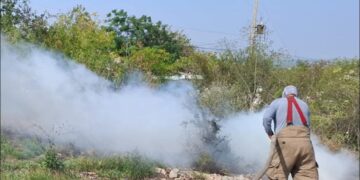 Controlan incendio de zacatal en la Col. Vamos Tamaulipas