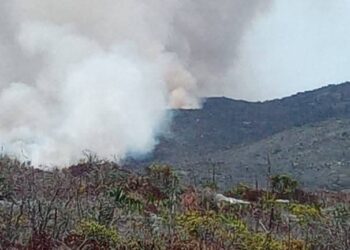 Se queman 170 hectáreas de la reserva ecológica “El Cielo” en Jaumave, Tamaulipas