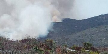 Se queman 170 hectáreas de la reserva ecológica “El Cielo” en Jaumave, Tamaulipas
