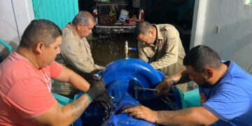 Controla COMAPA-Victoria falla en planta potabilizadora; regreso paulatino de agua a 180 colonias