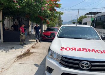Atrapa personal de Bomberos víbora en Col. Ampliación Pedro Sosa