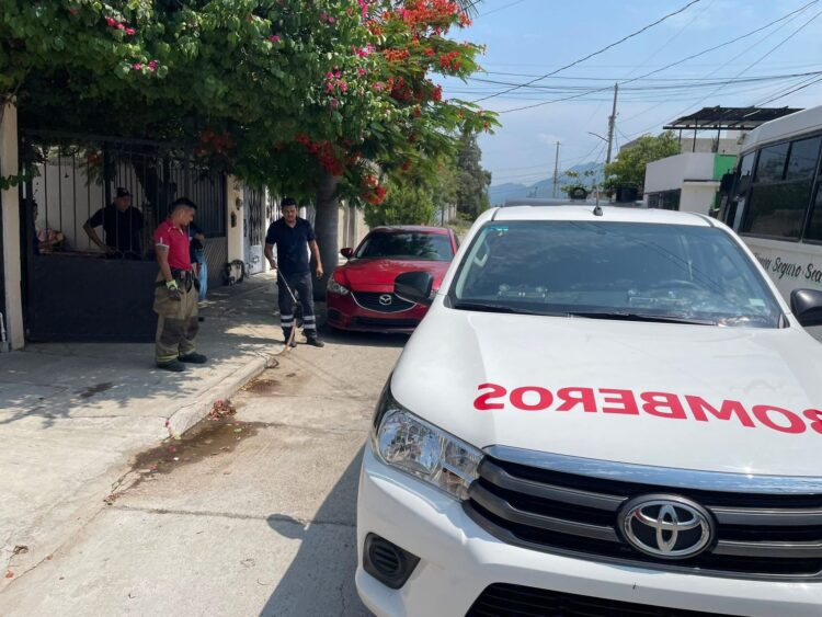 Atrapa personal de Bomberos víbora en Col. Ampliación Pedro Sosa