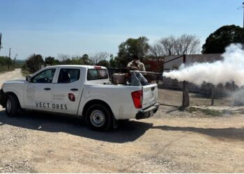 Reportan 273 casos de dengue en Tamaulipas y llama la SS a frenar proliferación del mosco