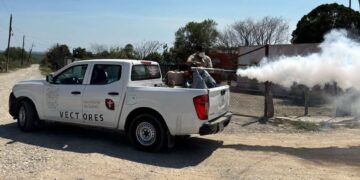 Reportan 273 casos de dengue en Tamaulipas y llama la SS a frenar proliferación del mosco