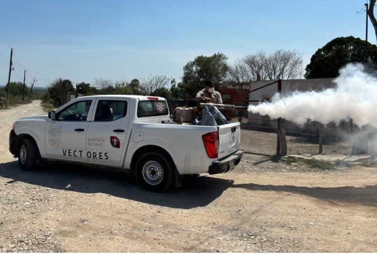 Reportan 273 casos de dengue en Tamaulipas y llama la SS a frenar proliferación del mosco