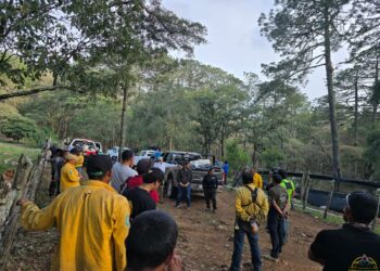 Liquidan 55% del incendio en zona de reserva ecológica en Jaumave, Tamaulipas