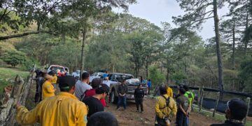 Liquidan 55% del incendio en zona de reserva ecológica en Jaumave, Tamaulipas