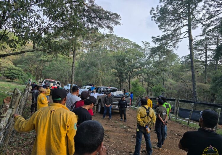 Liquidan 55% del incendio en zona de reserva ecológica en Jaumave, Tamaulipas