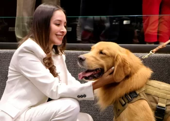 Propone Legisladora que los gastos veterinarios sean deducibles de impuestos