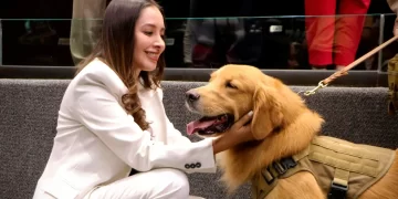 Propone Legisladora que los gastos veterinarios sean deducibles de impuestos