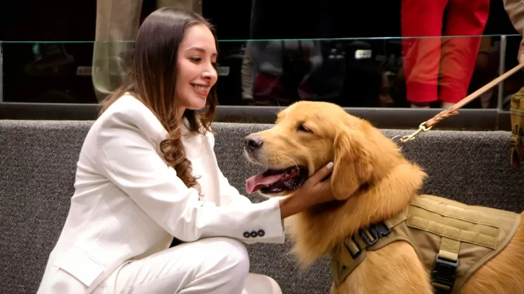 Propone Legisladora que los gastos veterinarios sean deducibles de impuestos